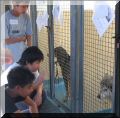 BCSPCA OCT 2006 007.jpg